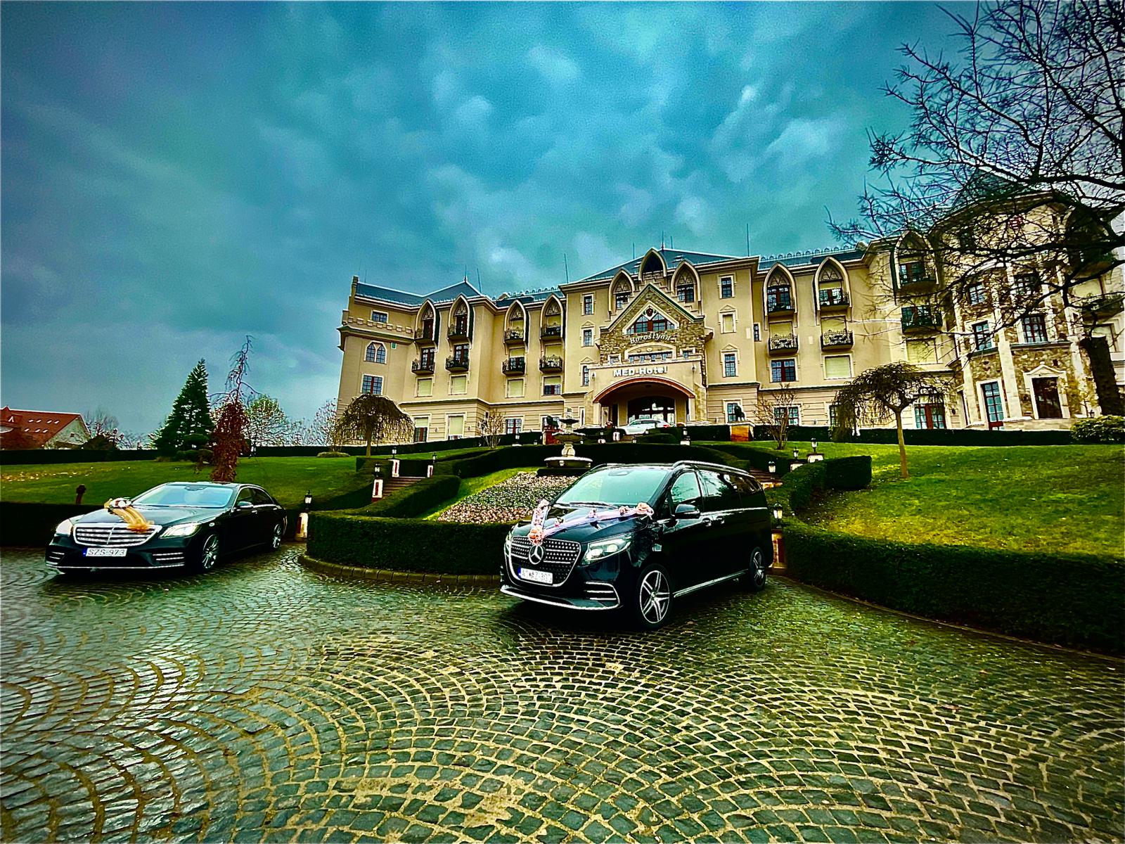 Pannon Transfer Executive - 4