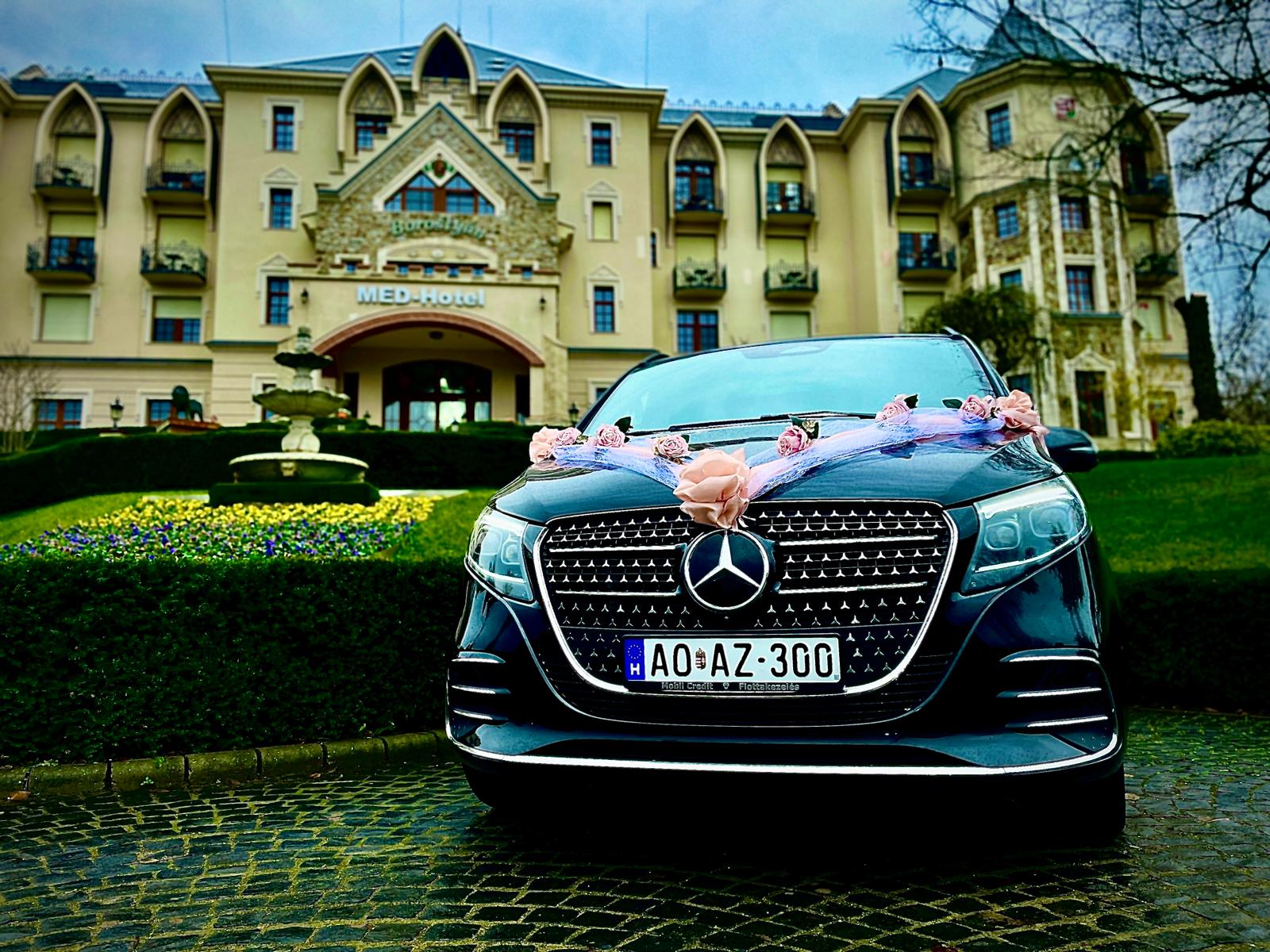 Pannon Transfer Executive - 6