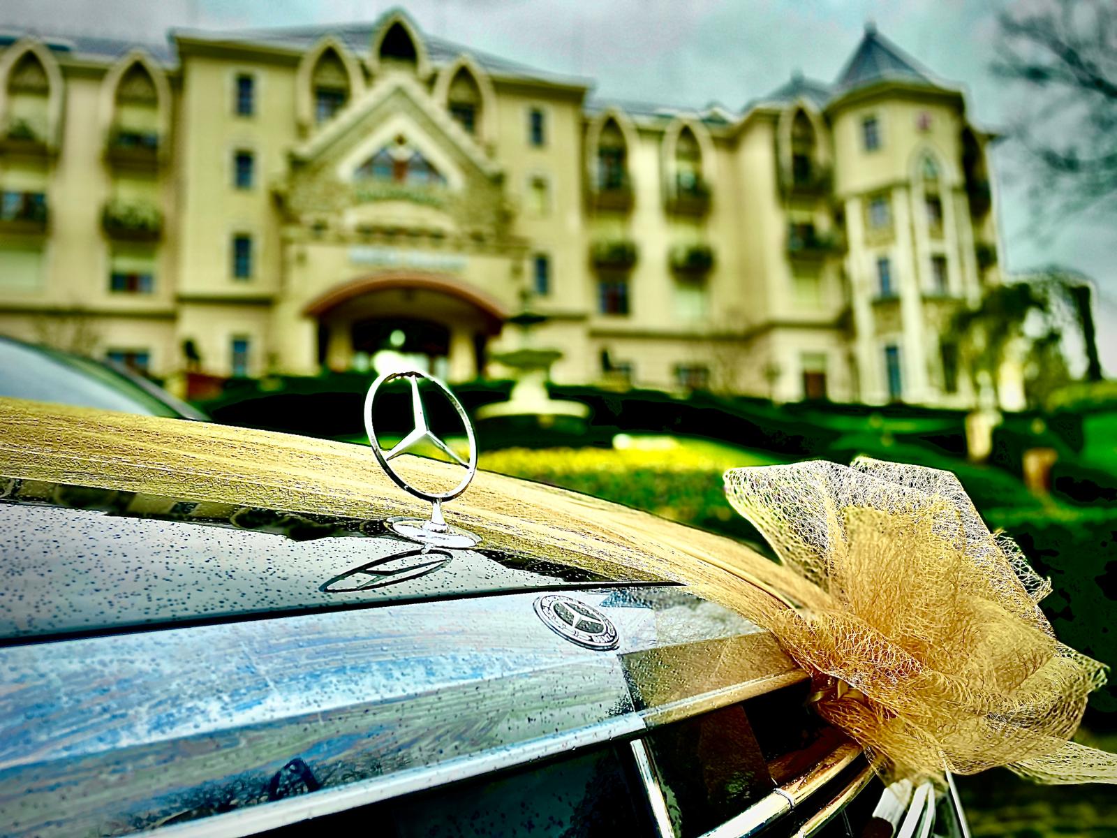 Pannon Transfer Executive - 7